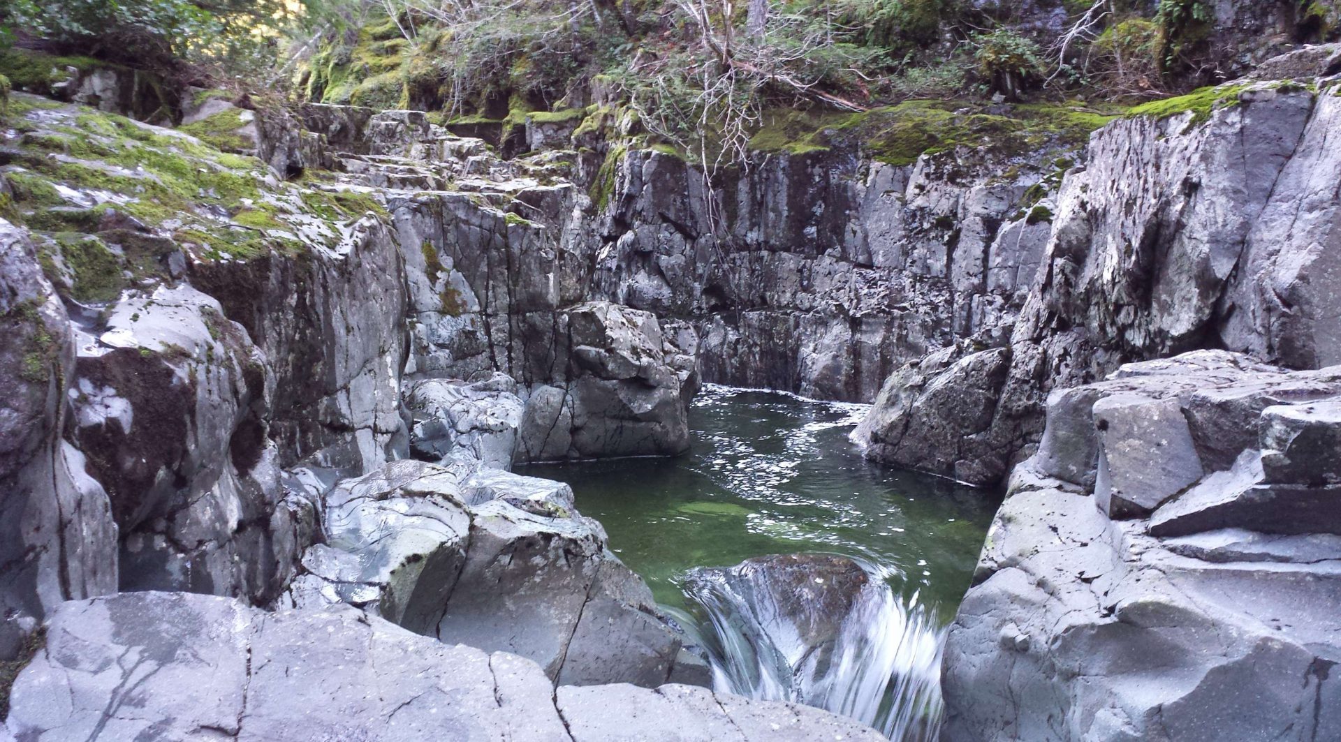 Supporting a greener Comox Valley
