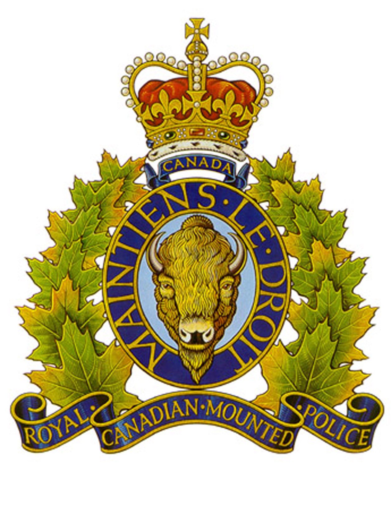 RCMP Weekly Crime Blog