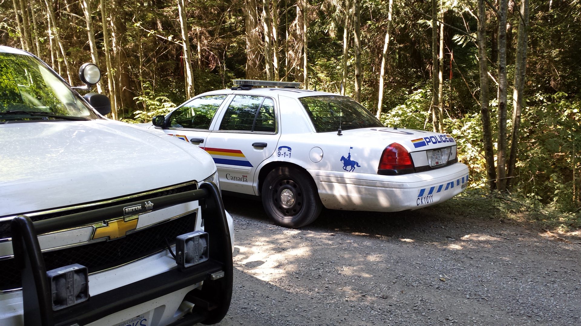 CVGSR crews rescue injured hiker