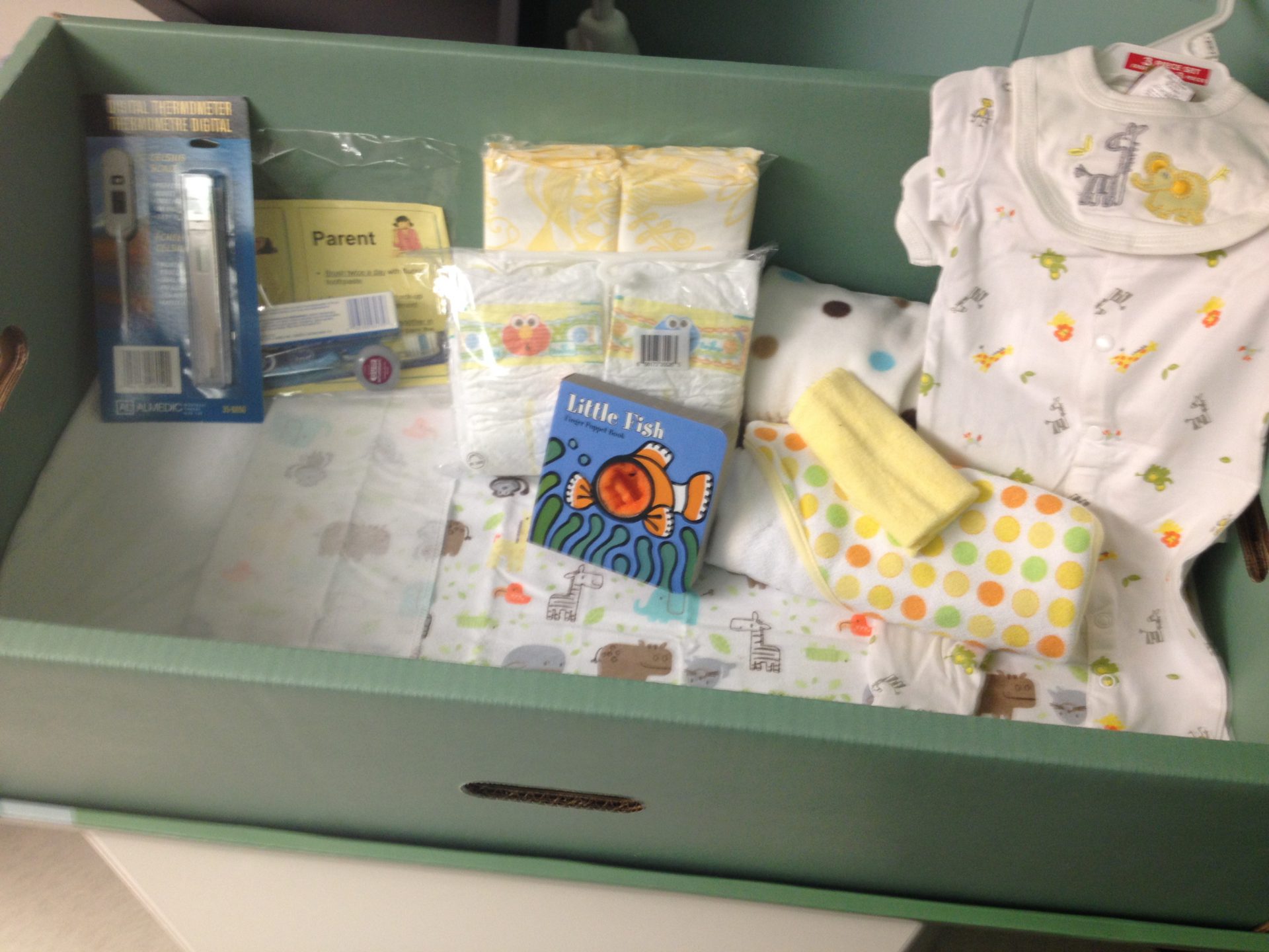 The Baby Bed Initiative