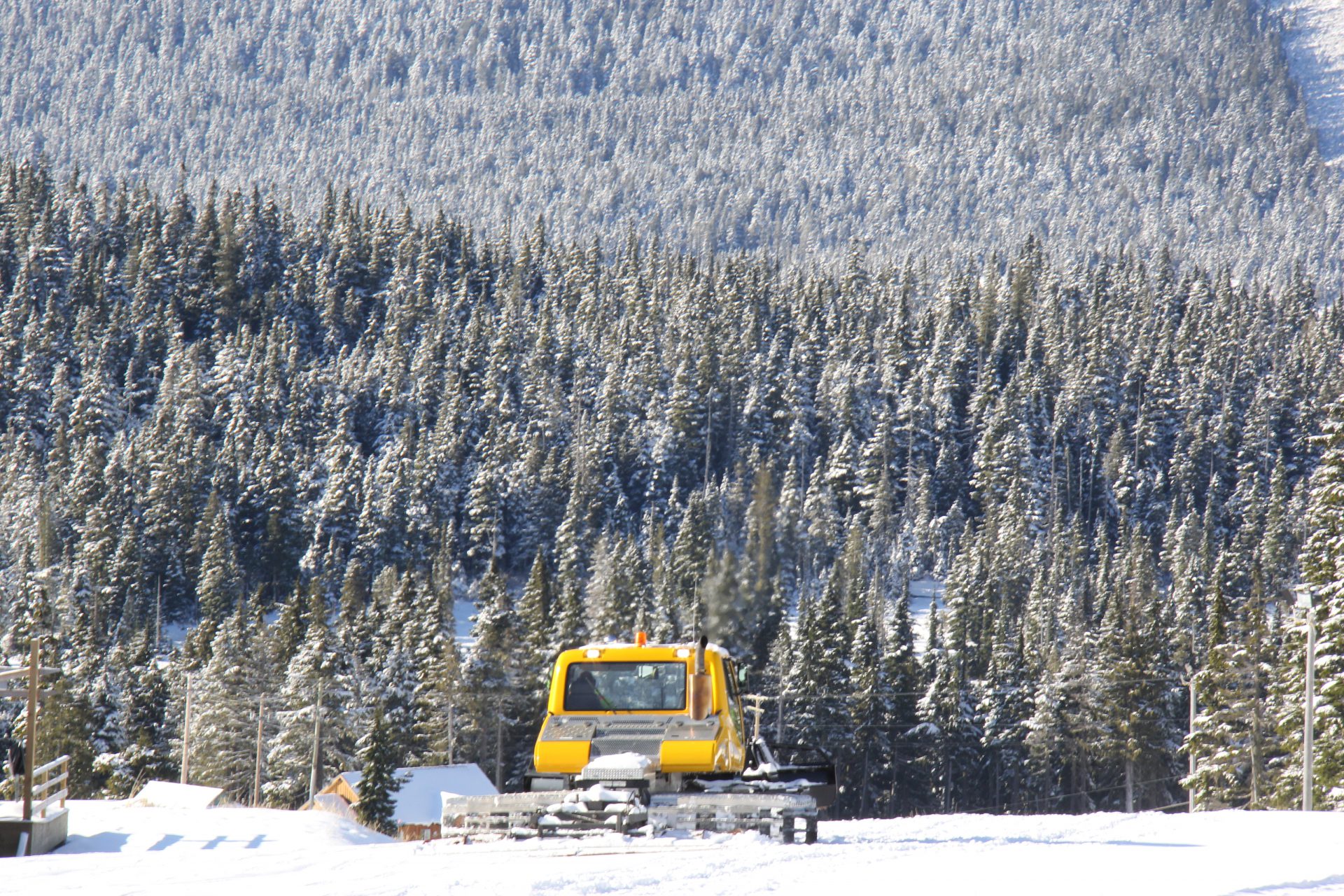 Mount Washington Set to Open