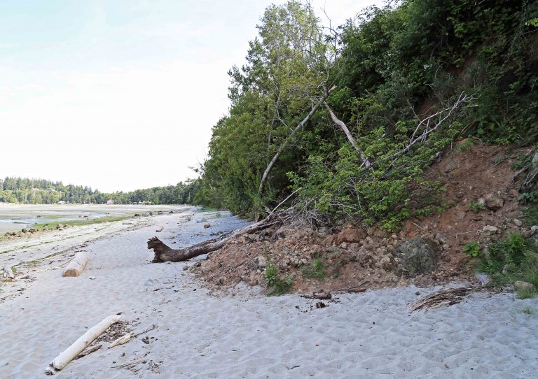 Shoreline work to be done near 19 Wing Comox