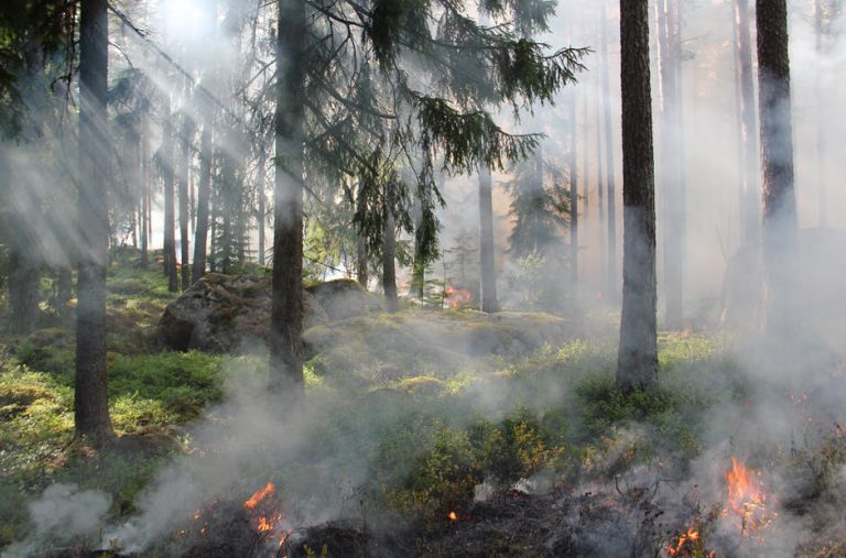 Coastal Fire Centre urging caution in the woods