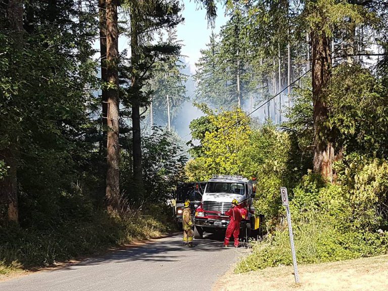 Fire crews come together to battle wildfire in Comox Valley