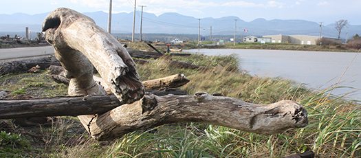 HMCS Quadra sewer forcemain project resumes