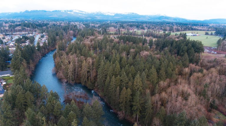 Parts of Condensory Park to close today to remove root balls from fallen trees