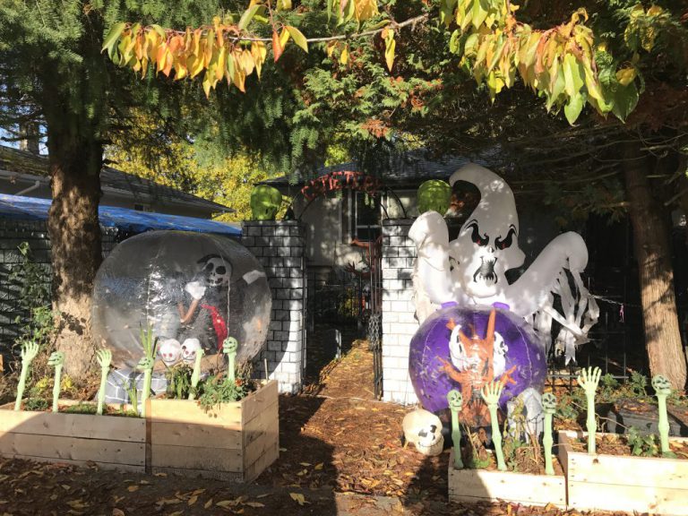 Haunted House Raising Funds for YANA Comox Valley