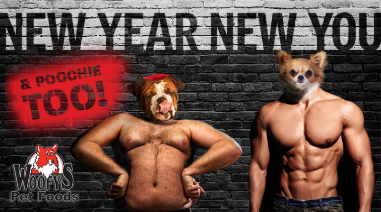 New Year, New You… & Poochie TOO!