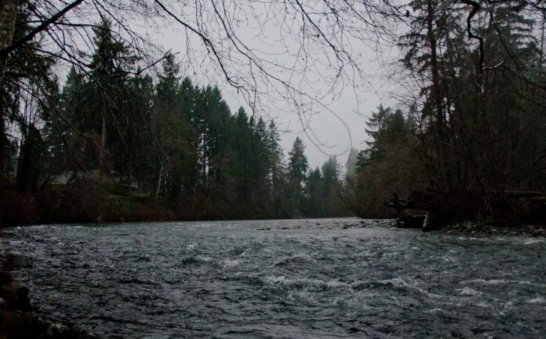 Hydro shutting down generating station for fish screen cleaning