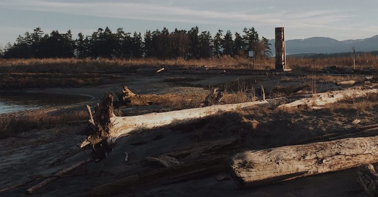 New totem poles possibly coming to Courtenay landmarks