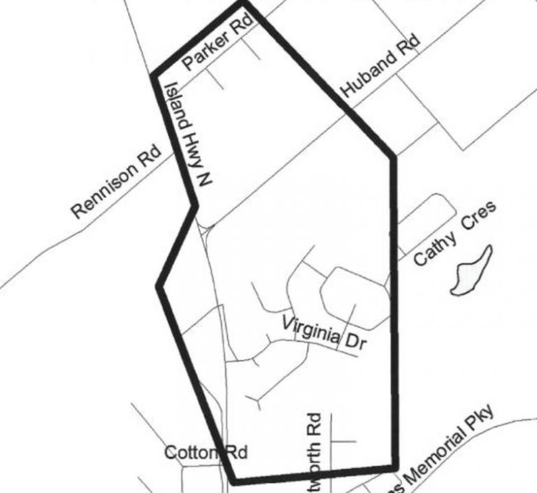 Province to spray north Courtenay neighbourhood for gypsy moths in May