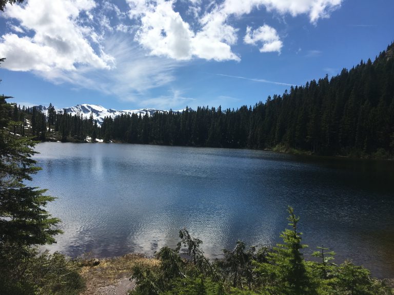 New campsite in Strathcona Park