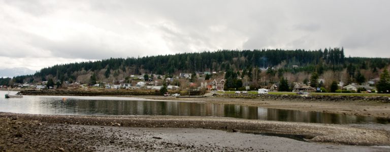 Union Bay trustee candidates answer election survey