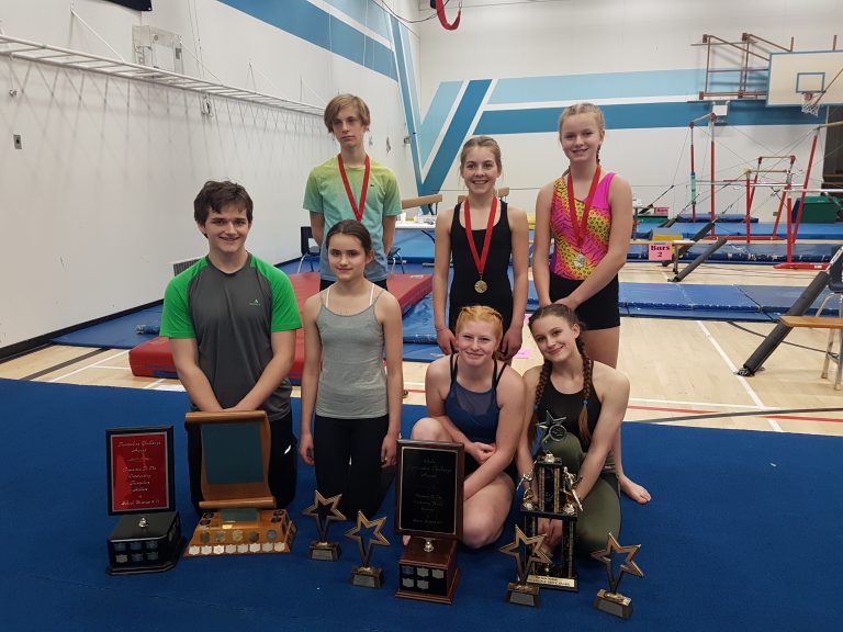 Success for local gymnasts at Comox Valley championship