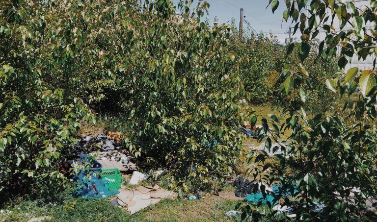 Downtown homeless camp cleared, litter remains