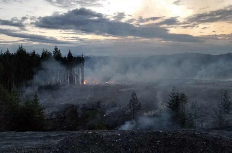 Quinsam fire down to hot spots