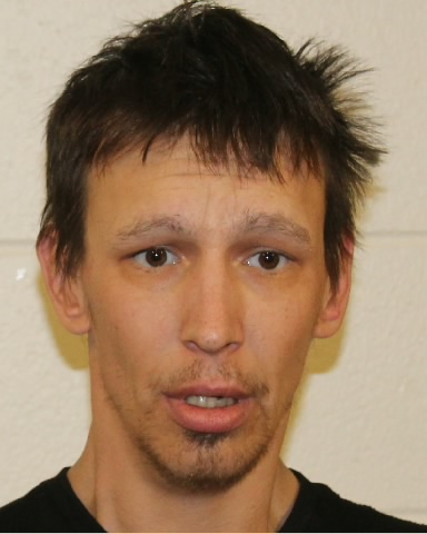 Wanted man arrested after police pursuit ended by truck