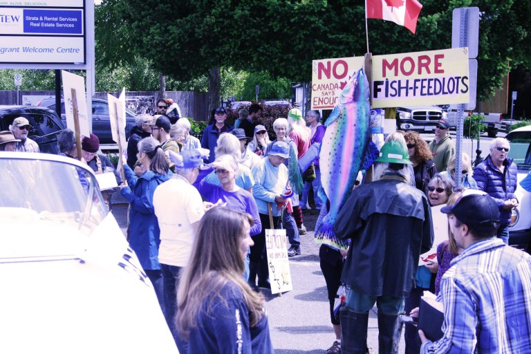 Anti-fish farm rally held in downtown Courtenay