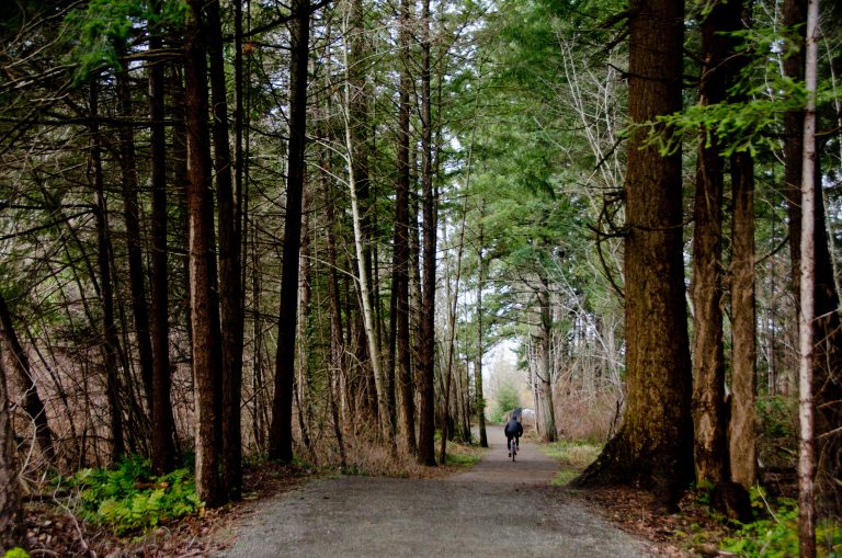 Police seeking suspect after woman assaulted on Rotary Trail