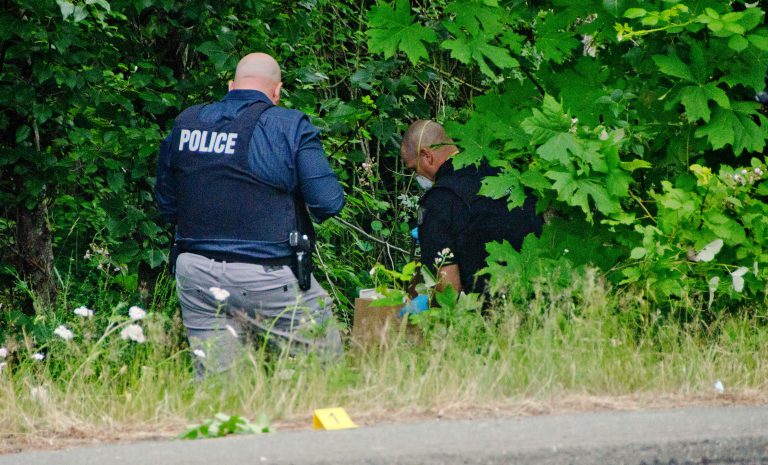 Gun seized by police along Ryan Road