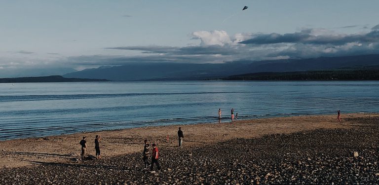 Comox Polar Bear Swim returns for next year