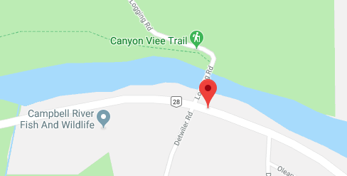 SAR crews rescue multiple people from Campbell River