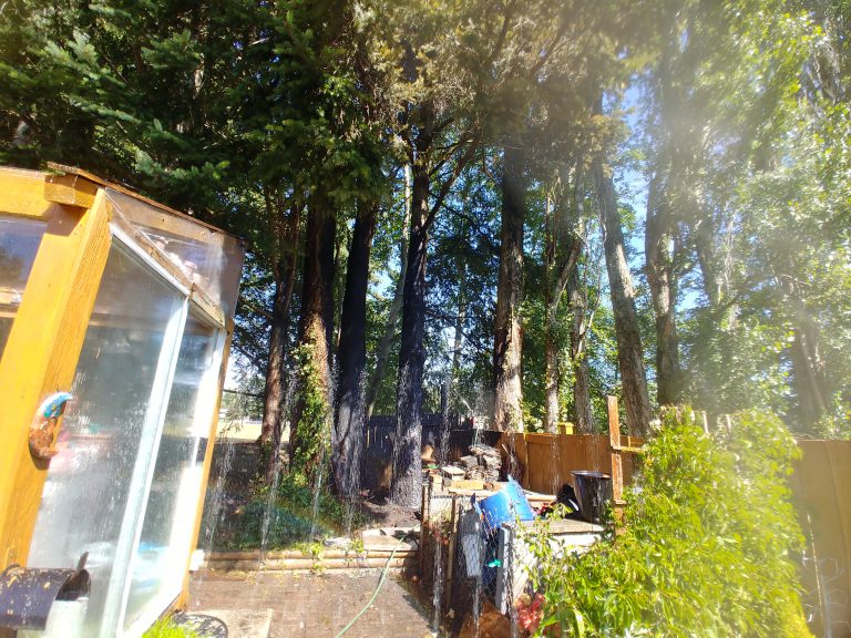 Comox firefighters quickly knock down fence flames