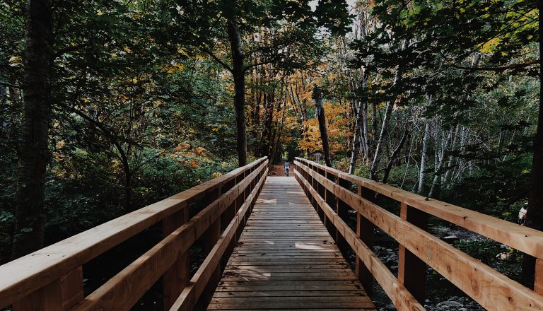Improvements made to Courtenay Riverway