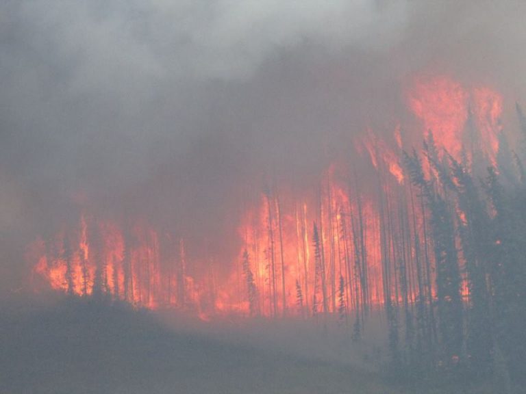 Record-setting Fire Season, Starting to Slow Down
