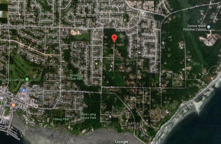 Horses on the loose in Comox