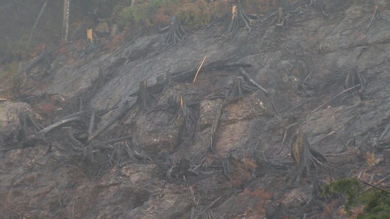 Province still assessing Zeballos landscape risk