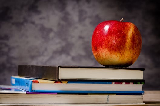 French immersion sets new enrolment record in Comox Valley School District
