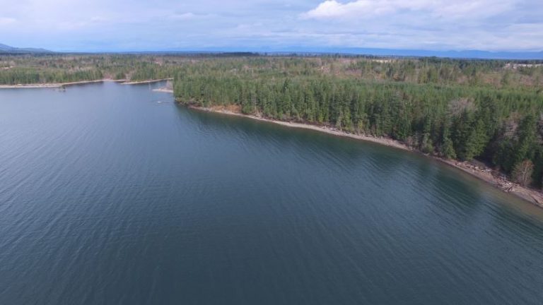CVRD purchases chunk of Comox Lake waterfront