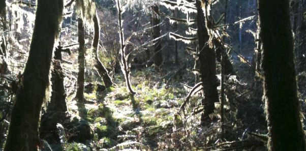Estuary Trail closure key topic at tonight’s SAMBRA meeting