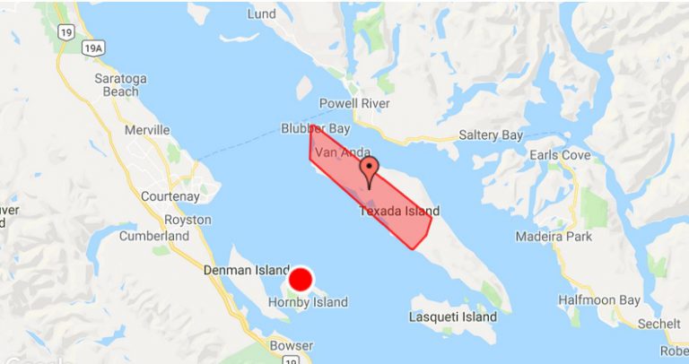 Fallen tree knocks out power across much of Texada Island