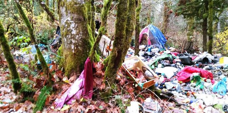 Courtenay creek cleanup happening tomorrow