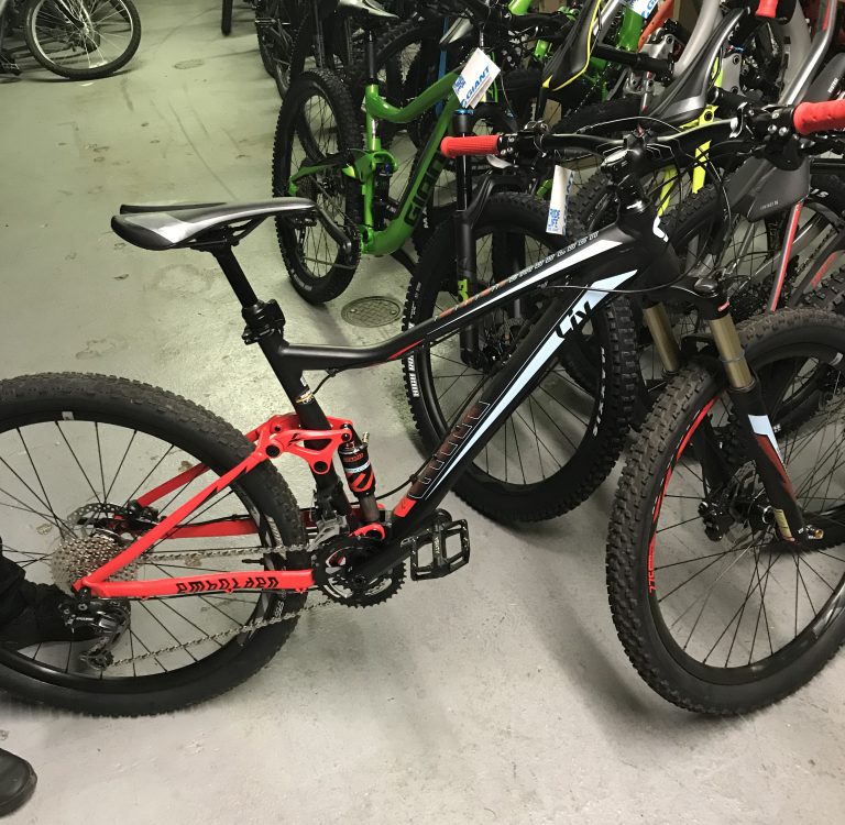 Thief steals bike from young woman with disability