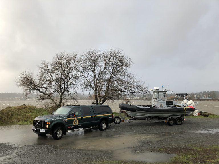 Grey whale believed to have left Courtenay River, DFO still monitoring