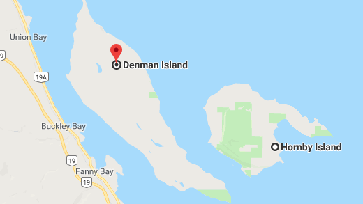 High winds result in ferry cancellations between Hornby and Denman islands