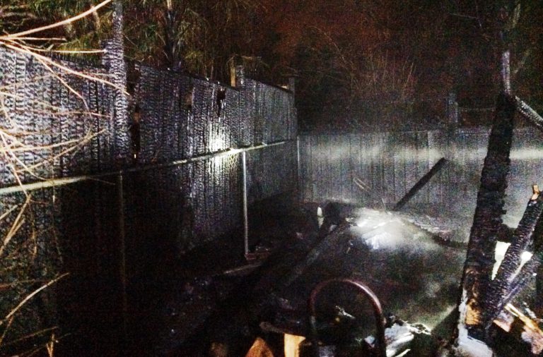 Comox firefighters quickly douse fully involved shed fire