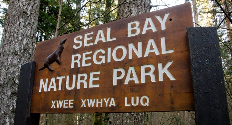 Man allegedly threatens dog-walker at Seal Bay Nature Park with bear spray
