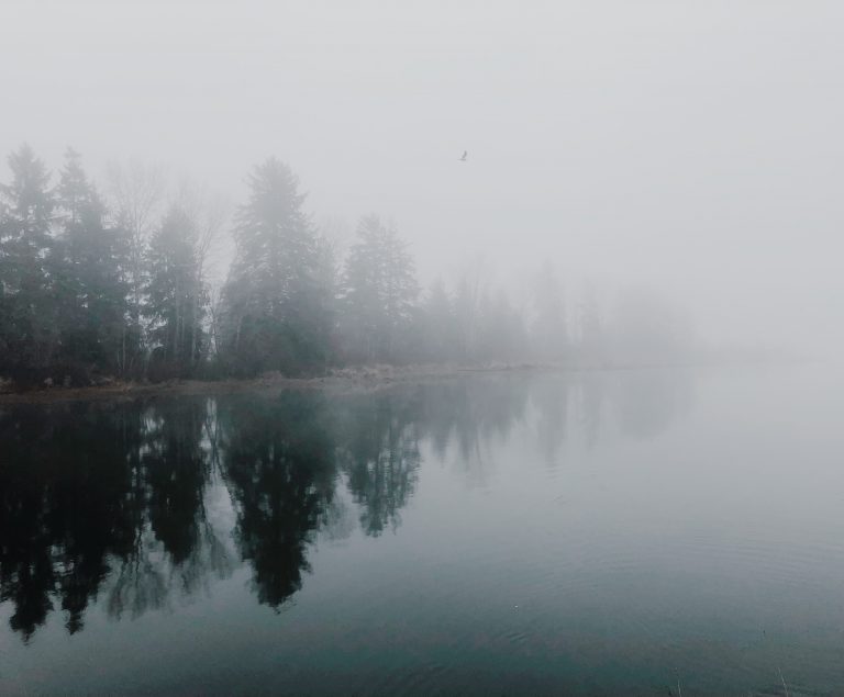 Fog expected to clear today, rain and warmer temperatures on the way