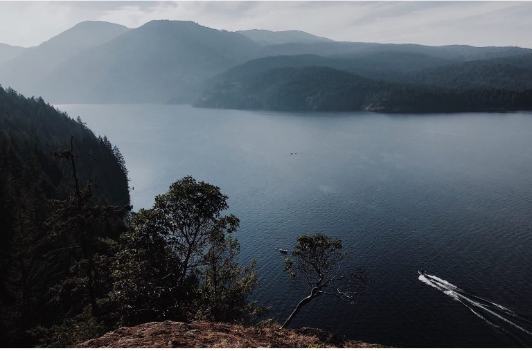 Concession operator sought for Comox Lake summer season