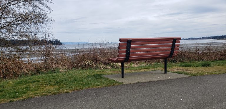 Memorial Bench Program up in the air