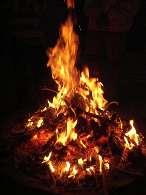 Coastal Fire Centre warns residents to monitor burning after grass fires