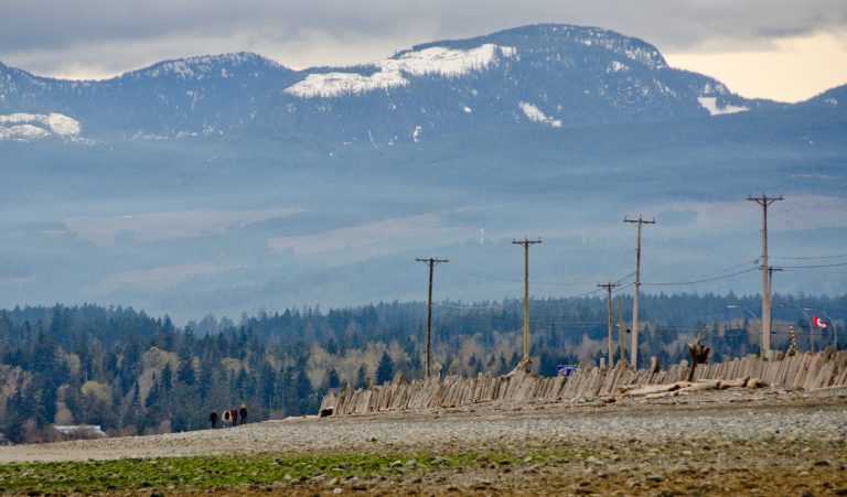 Goose Spit beach fire program in place until Labour Day