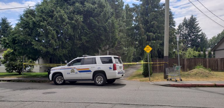 Courtenay police respond to reports of morning gunfire