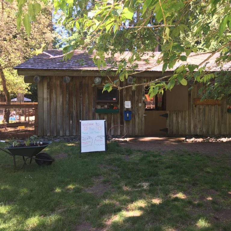 Outbreak of ringworm closes Comox petting zoo