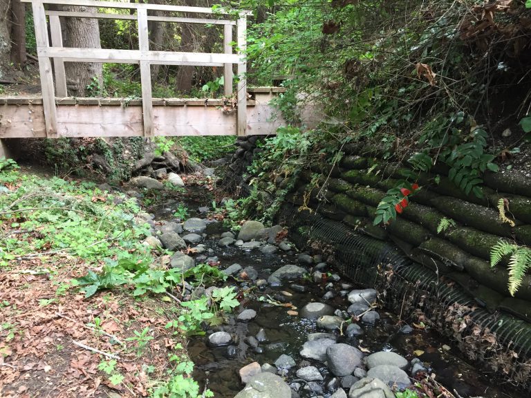 Comox resident suing Town over stormwater