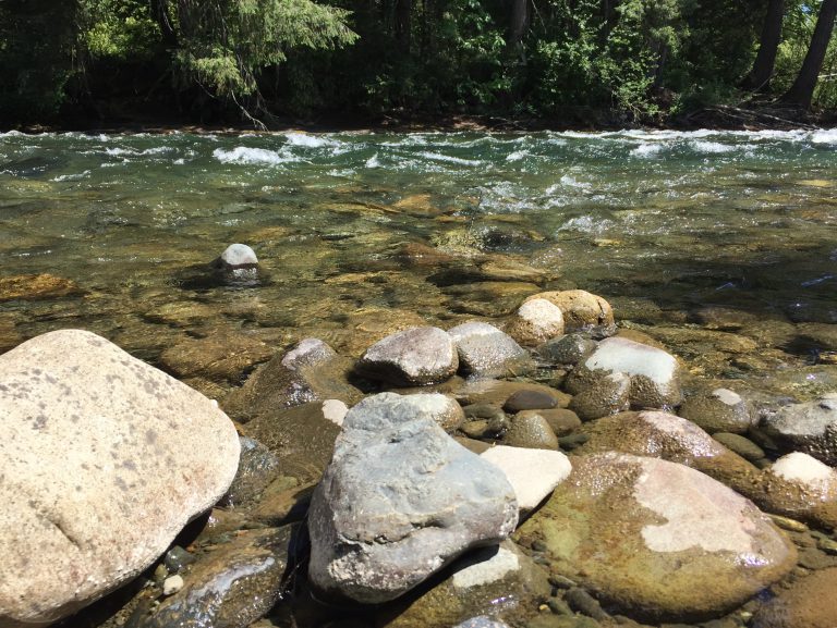 Comox Valley Land Trust, BC Parks Foundation look to purchase Morrison Headwaters